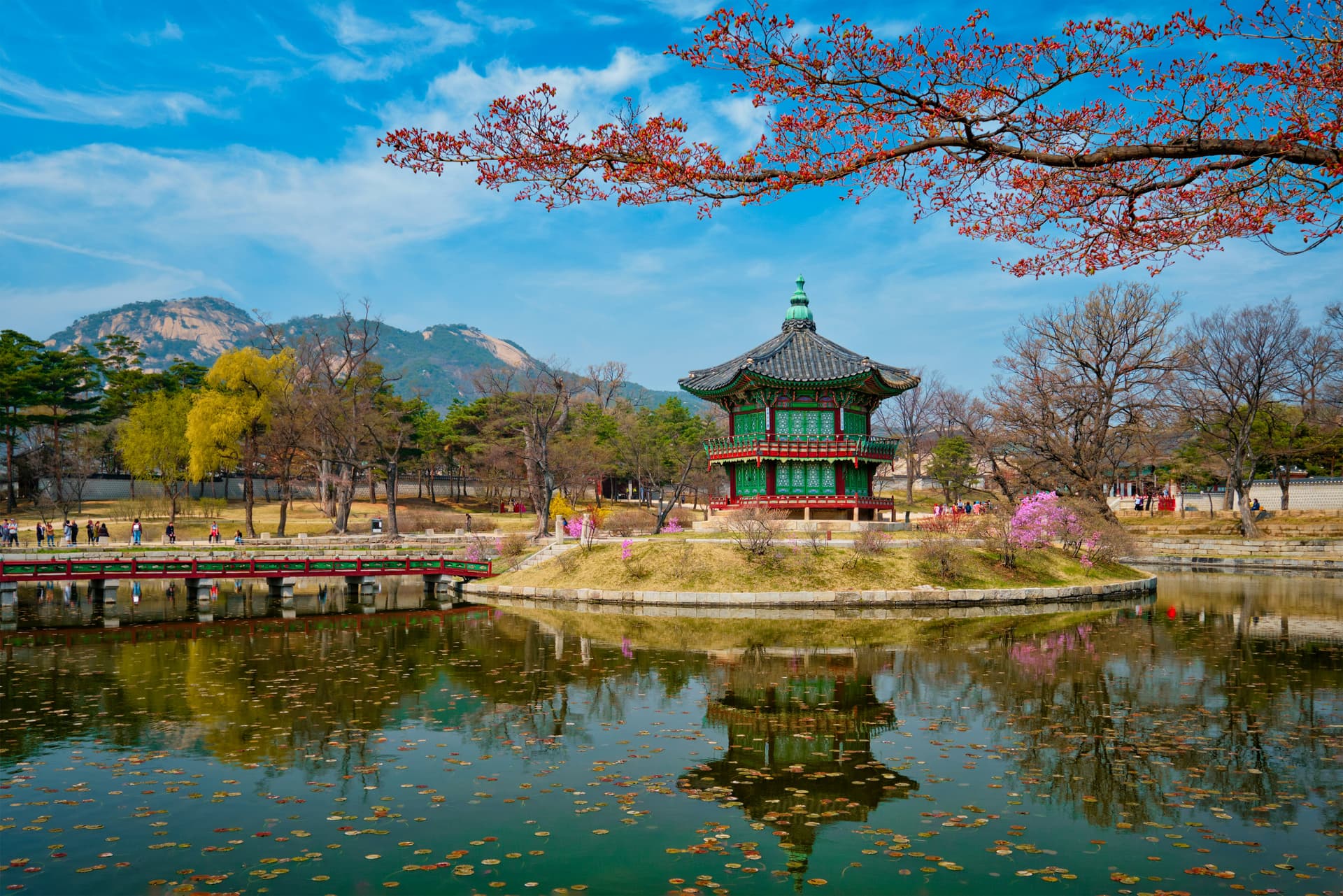 Teacher hiking in the picturesque mountains of South Korea